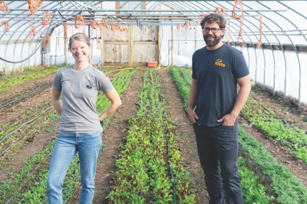 Park City farm offers organically grown, chemical-free vegetables